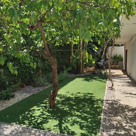 Viktoria'S Garden Home Athens Exterior photo