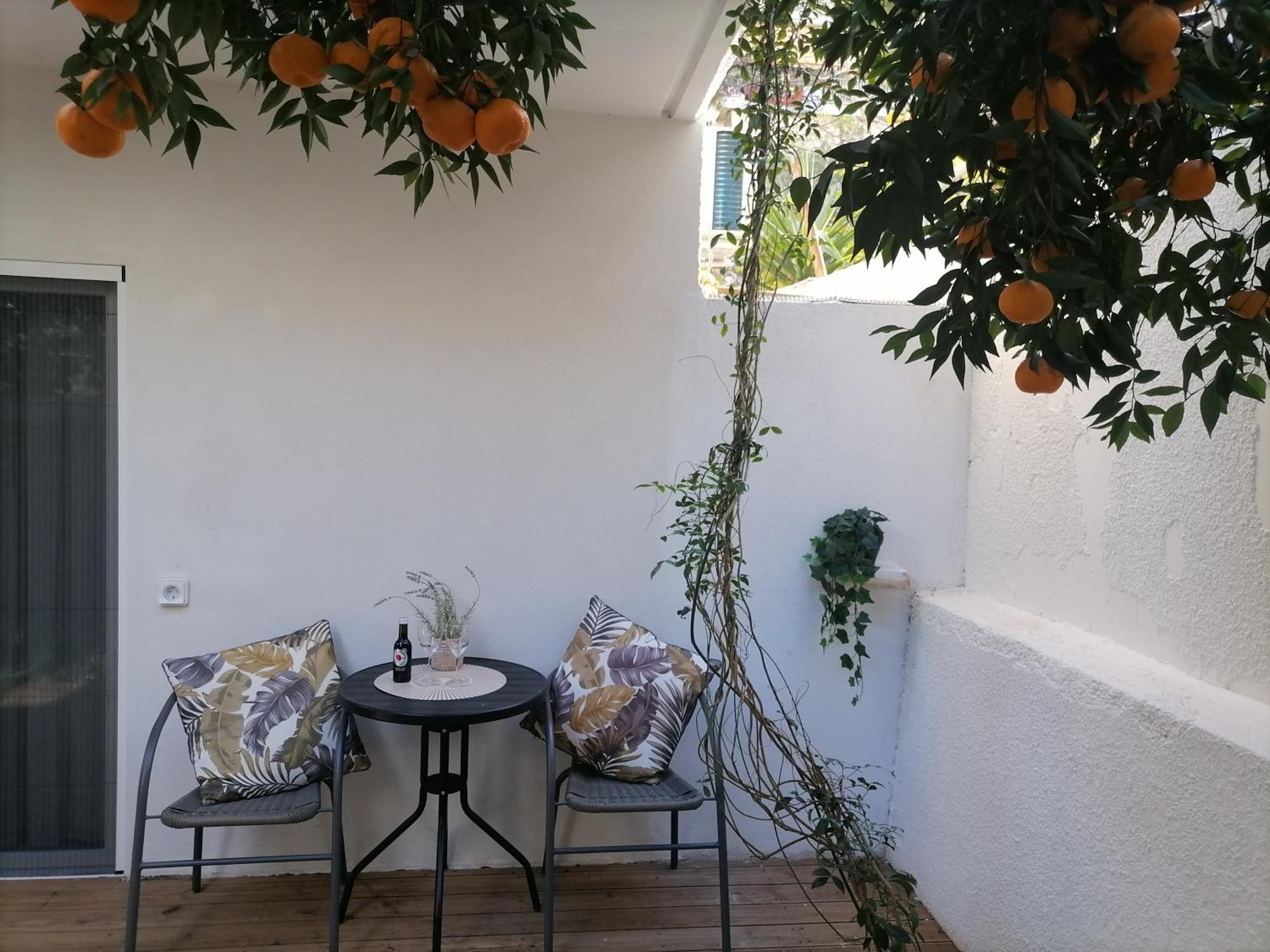 Viktoria's Garden Apartment